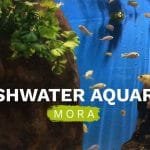 Fluviário de Mora e tarde em Arraiolos 5