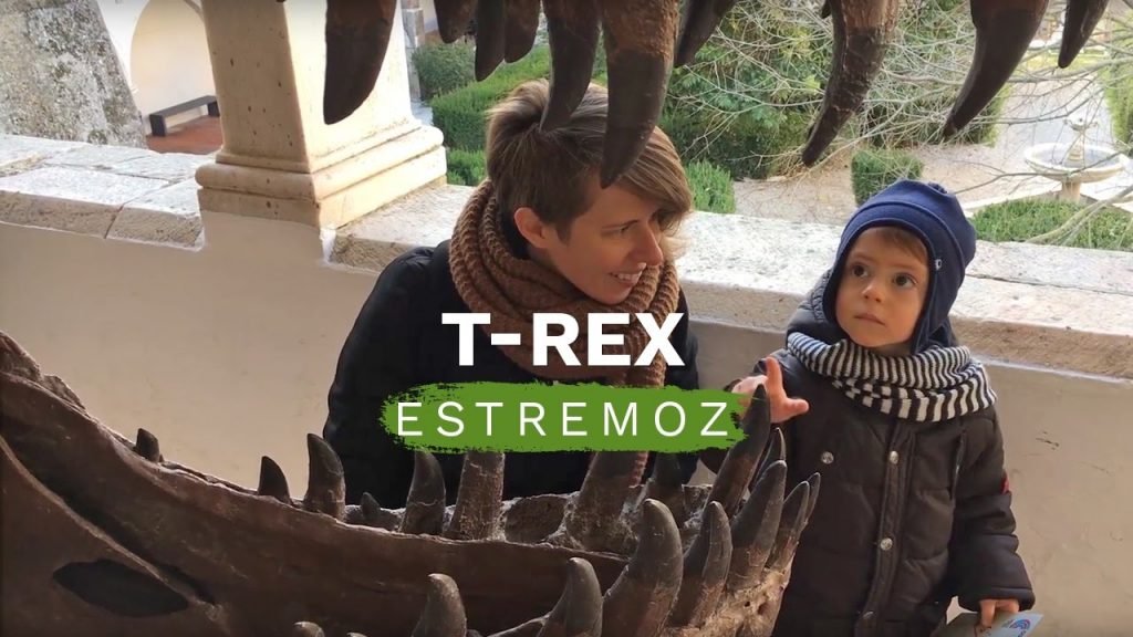 Estremoz Science center. An introduction to geology 1