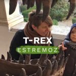 Estremoz Science center. An introduction to geology 4