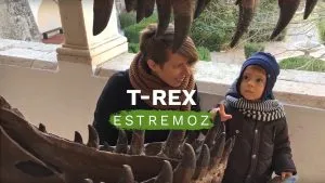 Estremoz Science center. An introduction to geology 6