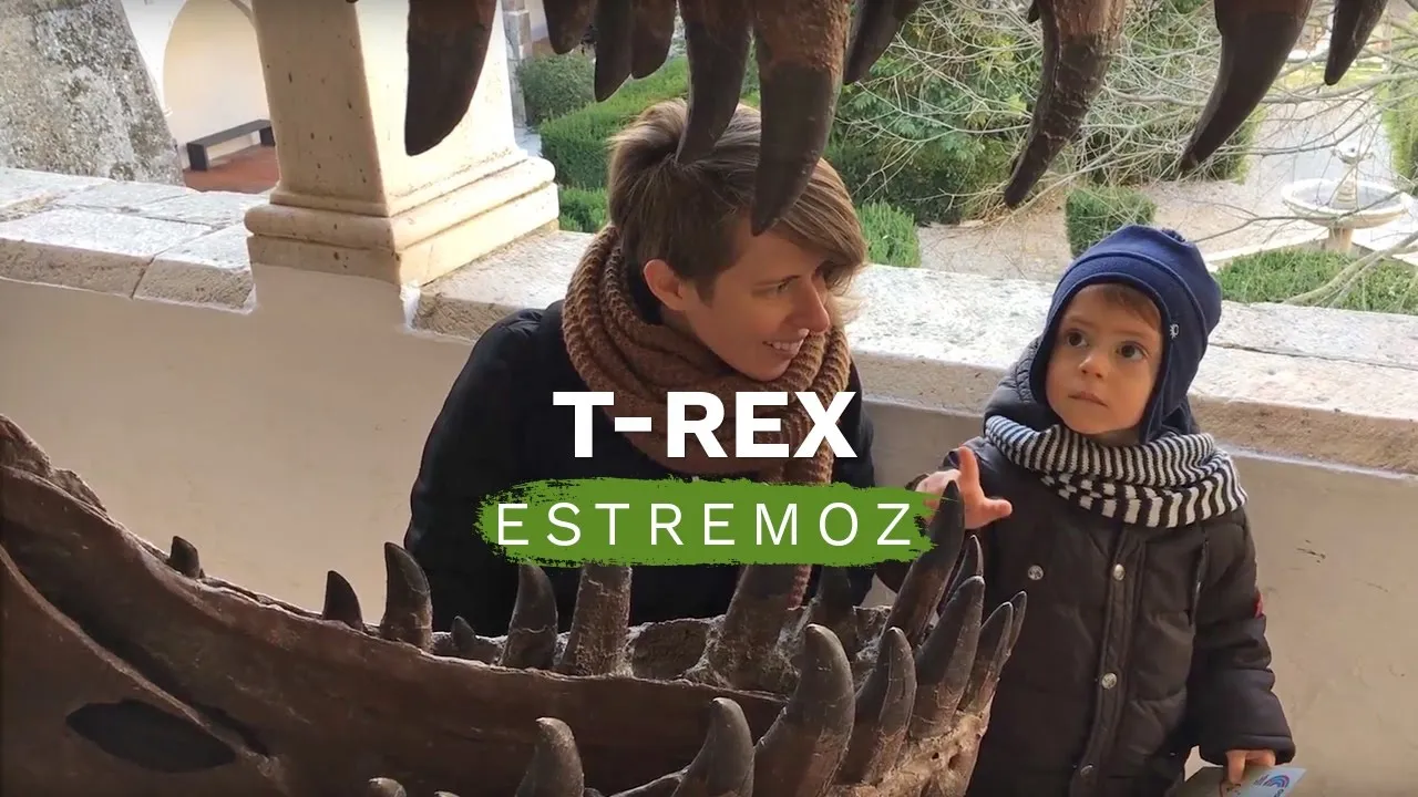 Estremoz Science center. An introduction to geology 5