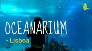 Oceanarium in Lisbon, what to expect? 4