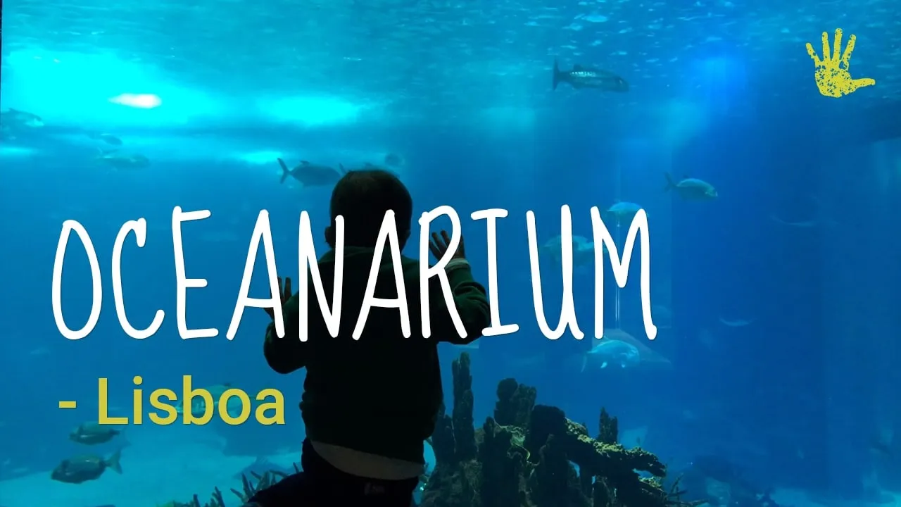Oceanarium in Lisbon, what to expect? 1