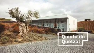 Quinta do Quetzal, wine, art, a garden and some ruins 7