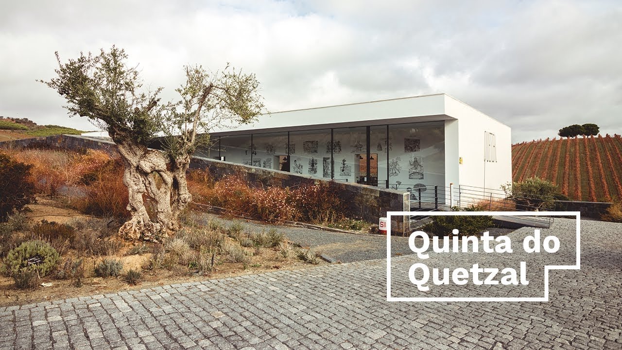 Quinta do Quetzal, wine, art, a garden and some ruins 2