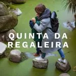 A tour of Quinta da Regaleira in Sintra, Portugal 5