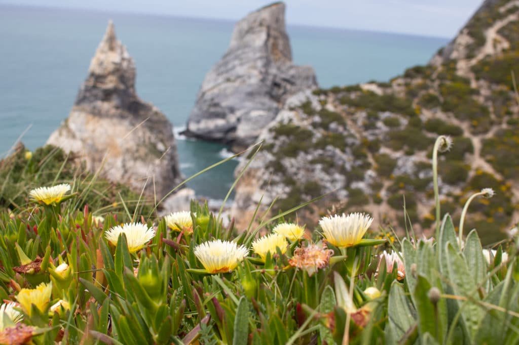 praia da ursa