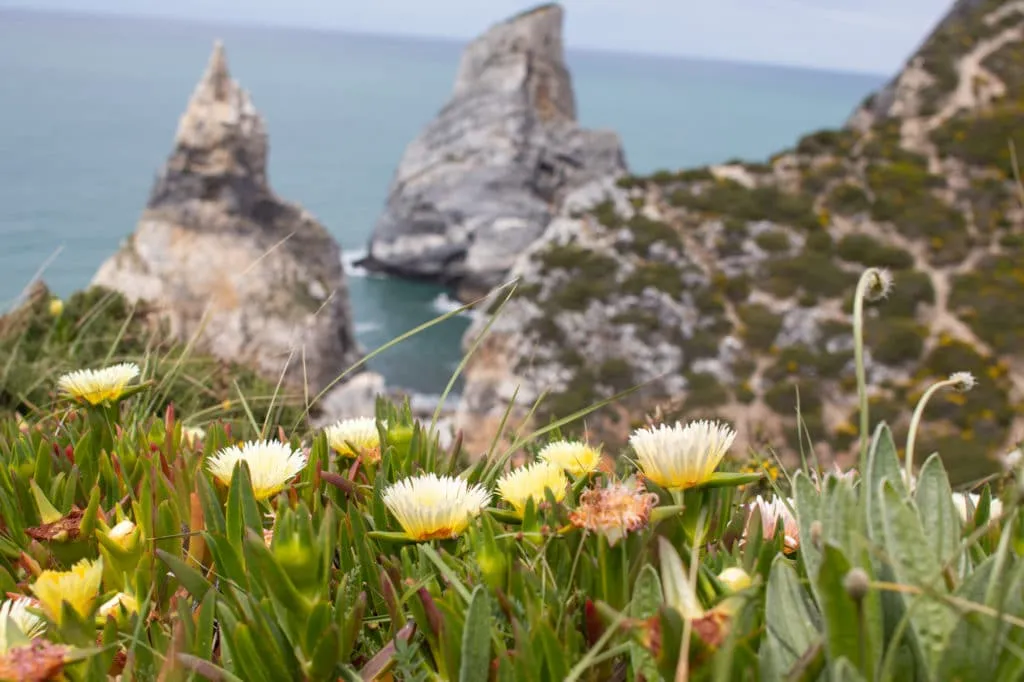 Praia da Ursa, Portugal: The Most Scenic Beach You've Never Heard Of 17 praia da ursa