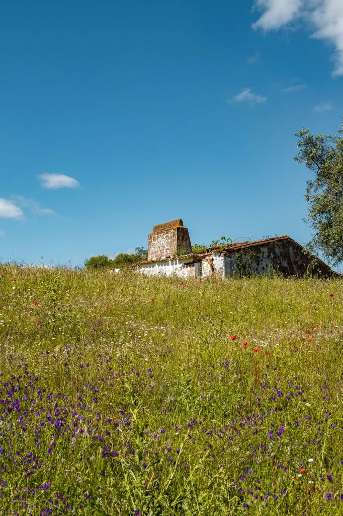 Safira, uma incrível aldeia abandonada no Alentejo 20 Safira, uma incrível aldeia abandonada no Alentejo 20