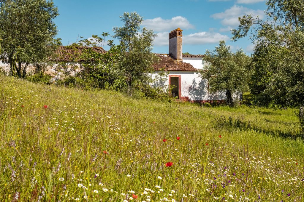 Abandoned village in portugal - Safira 19 Abandoned village in portugal - Safira 19