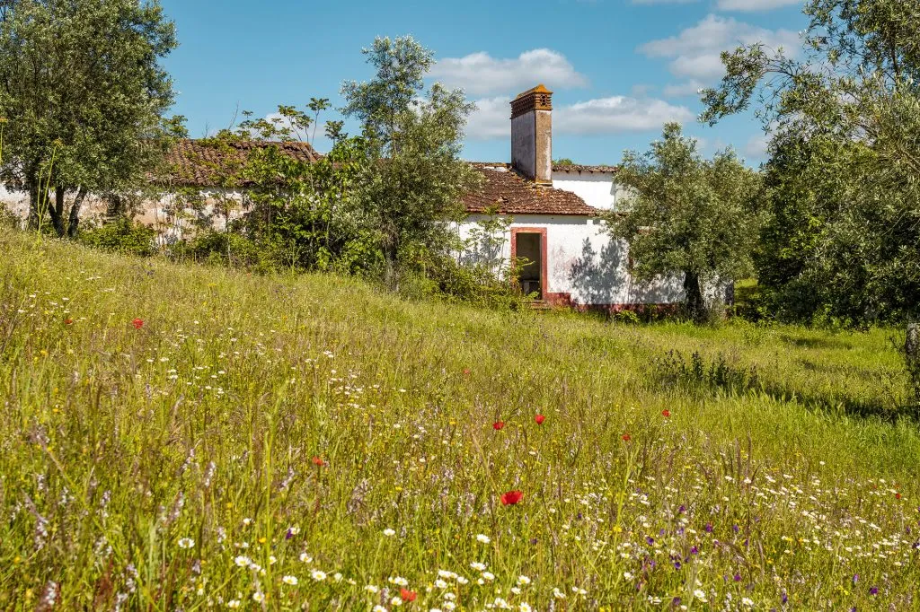 Safira, uma incrível aldeia abandonada no Alentejo 19 Safira, uma incrível aldeia abandonada no Alentejo 19