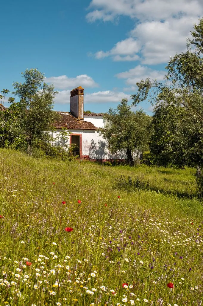 Safira, uma incrível aldeia abandonada no Alentejo 9 Safira, uma incrível aldeia abandonada no Alentejo 9