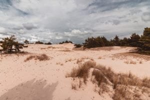 sand dunes
