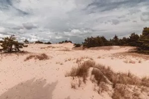 sand dunes