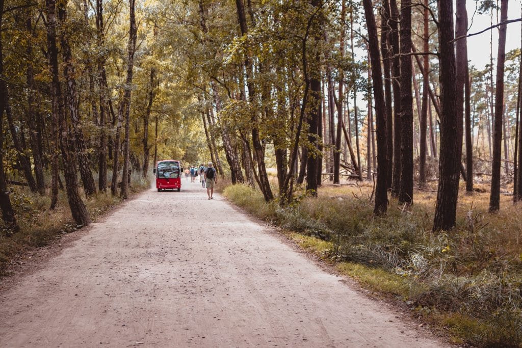 Leba, Poland Home of the Shifting Dunes- Słowiński National Park 16 electric cars transportation dunes