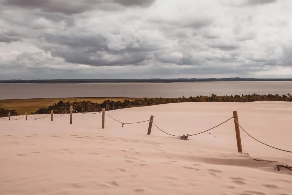 lake forest and dunes