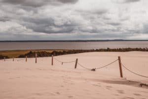 lake forest and dunes