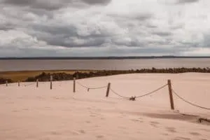 lake forest and dunes