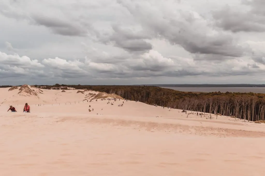 lake forest and dunes