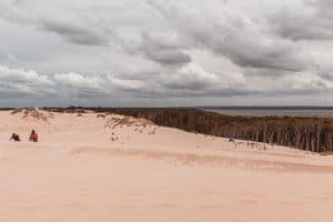 lake forest and dunes