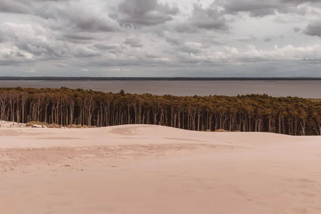 lake forest and dunes