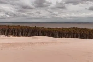 lake forest and dunes
