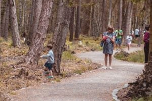 Grandmother and grandchild walking in the forest