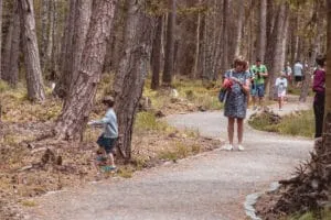 Grandmother and grandchild walking in the forest
