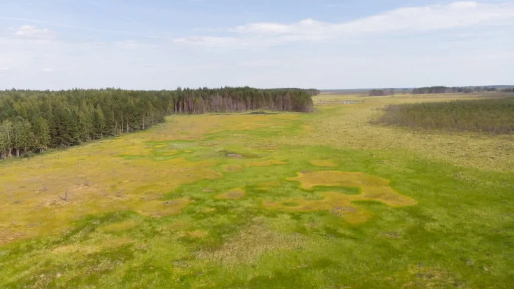 The largest swamp in Lithuania - Čepkelių raistas 5