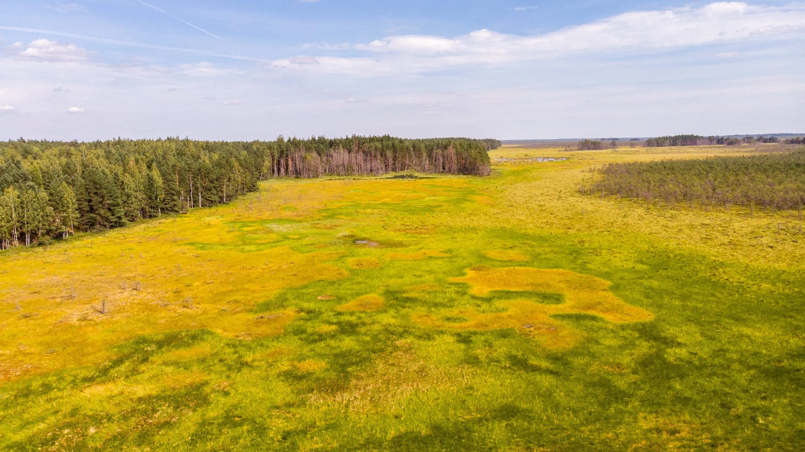 The largest swamp in Lithuania – Čepkelių raistas