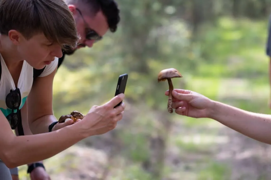 The largest swamp in Lithuania - Čepkelių raistas 19