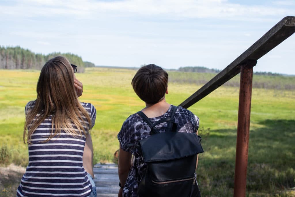 The largest swamp in Lithuania - Čepkelių raistas 127