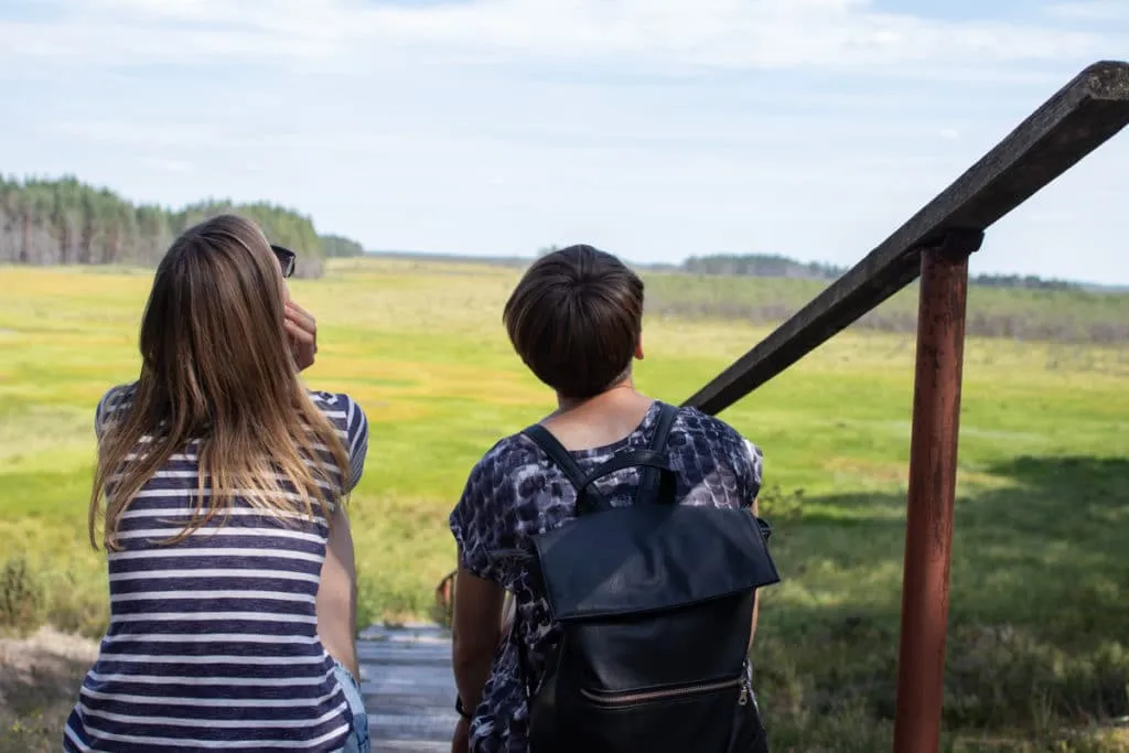 The largest swamp in Lithuania - Čepkelių raistas 4