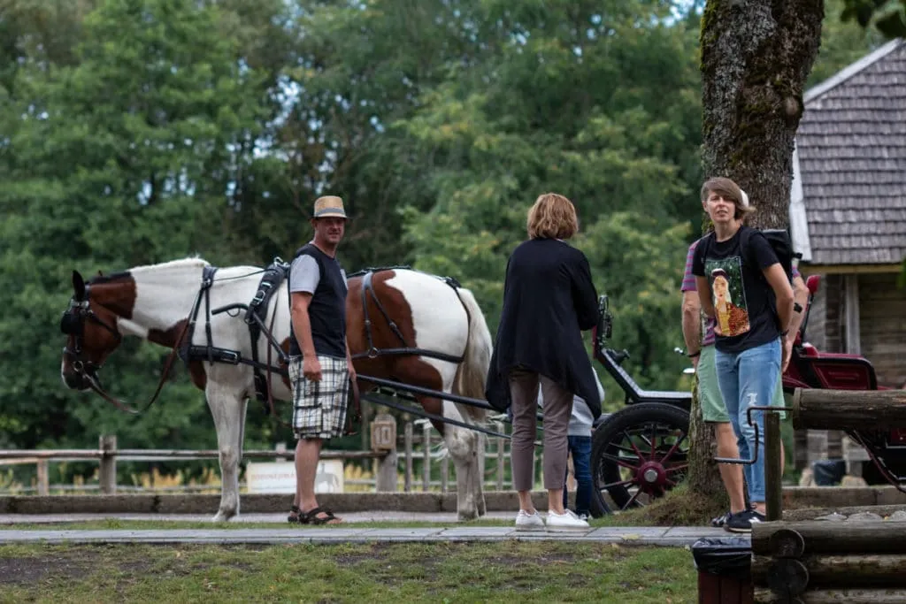 Anykščiai, Lithuania's best kept secret 65 Anykščiai, Lithuania's best kept secret 65