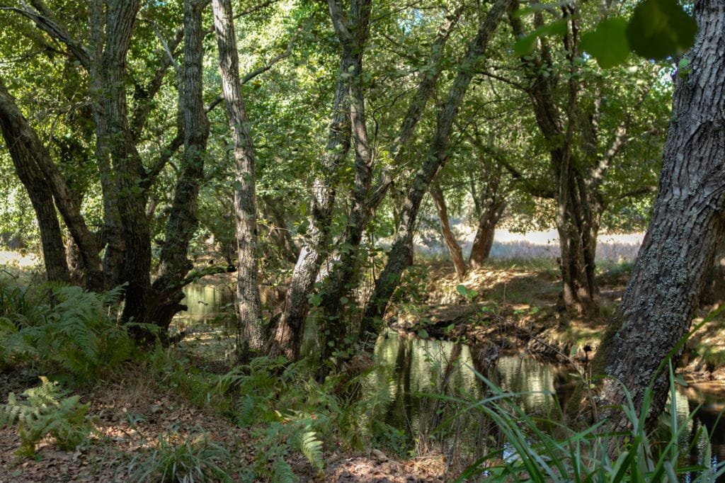 Pego das Pias | Best river beaches in Portugal | 21