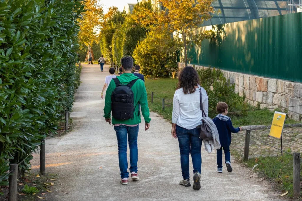 walking in the park