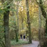 Parque Biológico de Gaia, para quem ama a natureza 8 woods of parque biologico de gaia