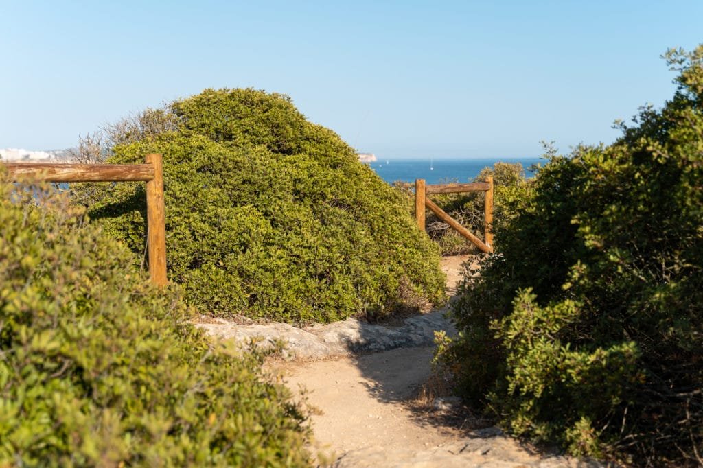Descubra a beleza da Praia da Rocha na costa portuguesa 12 portimão nature