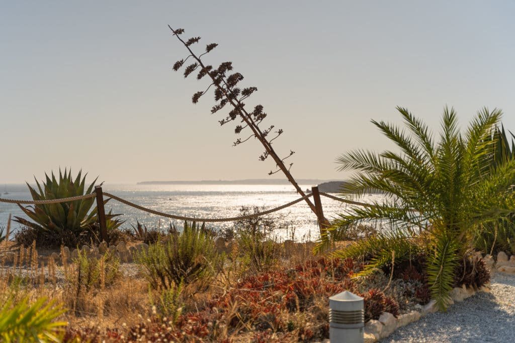Descubra a beleza da Praia da Rocha na costa portuguesa 3 Portimão path
