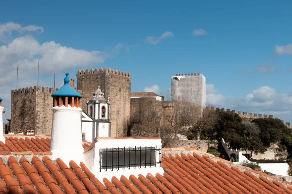 Detail from Obidos house roofs
