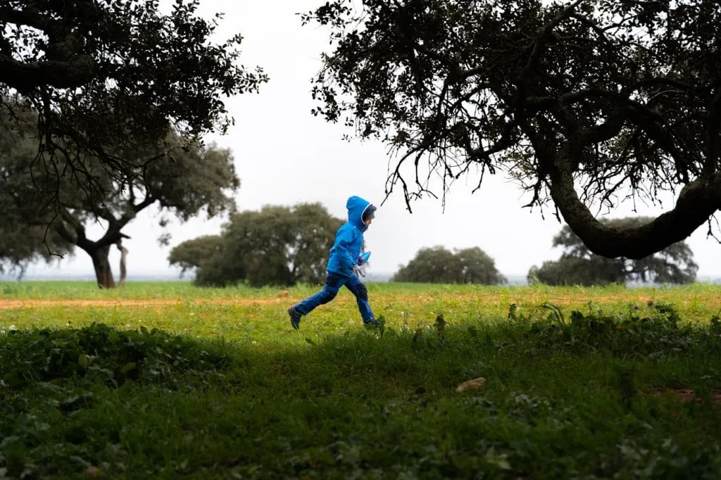 running around holm oak tree