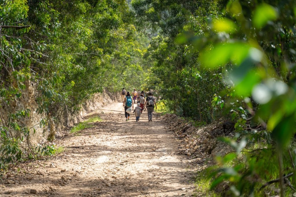 Top Tips to Explore the Rota Vicentina: Your Ultimate Guide 19 trail
