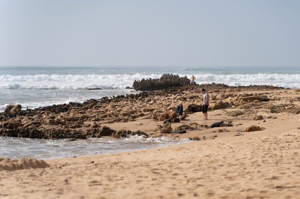 Top Tips to Explore the Rota Vicentina: Your Ultimate Guide 21 beach in alentejo