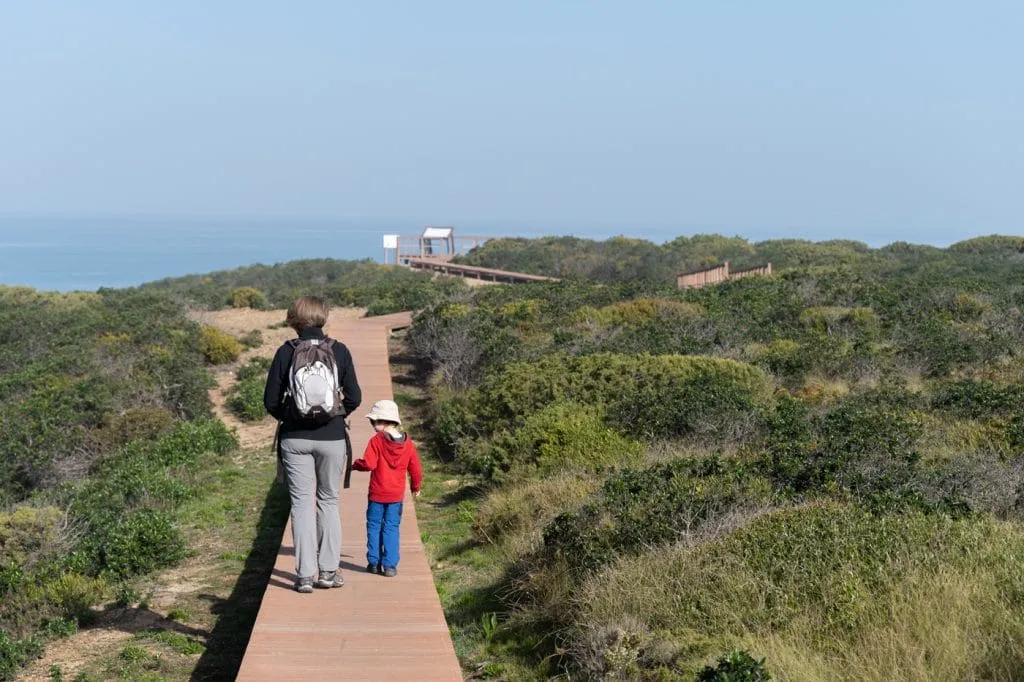 walking a wooden path in rota vicentina