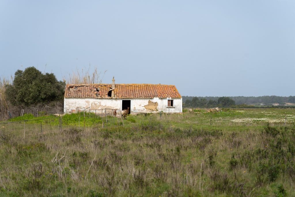Top Tips to Explore the Rota Vicentina: Your Ultimate Guide 30 abandonned house
