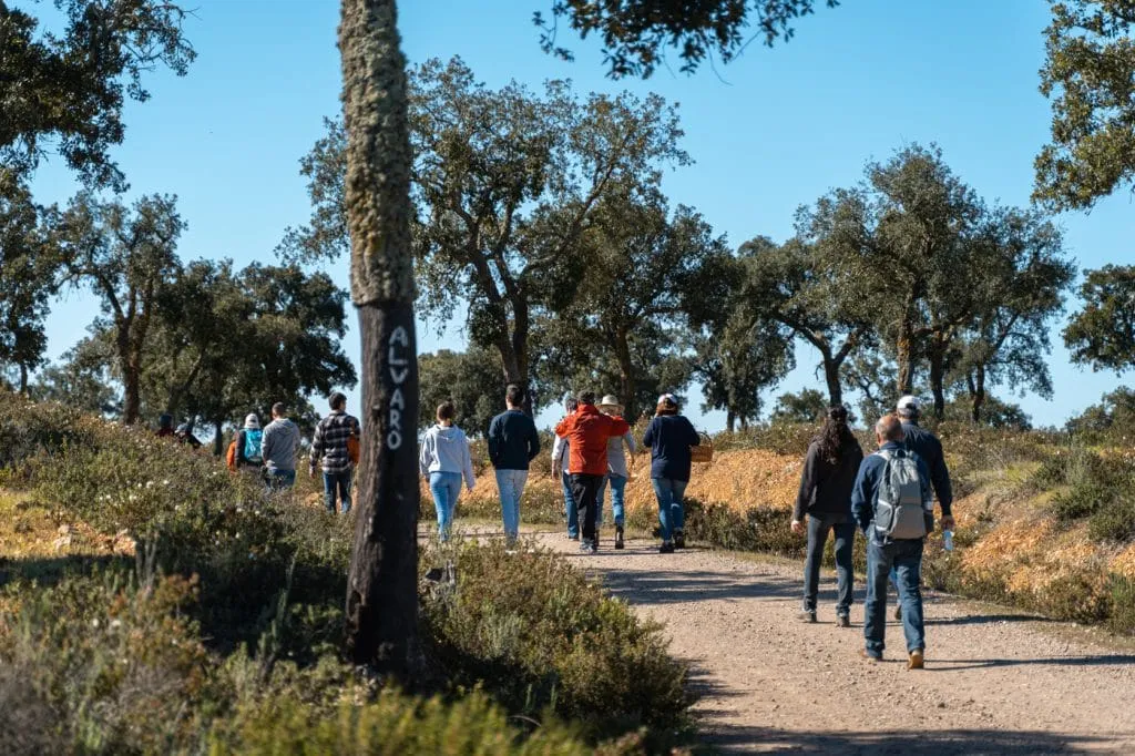 cabeca gorda silarca festival