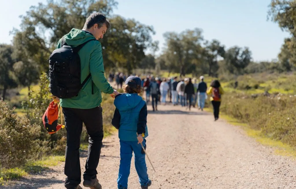 cabeca gorda silarca andar