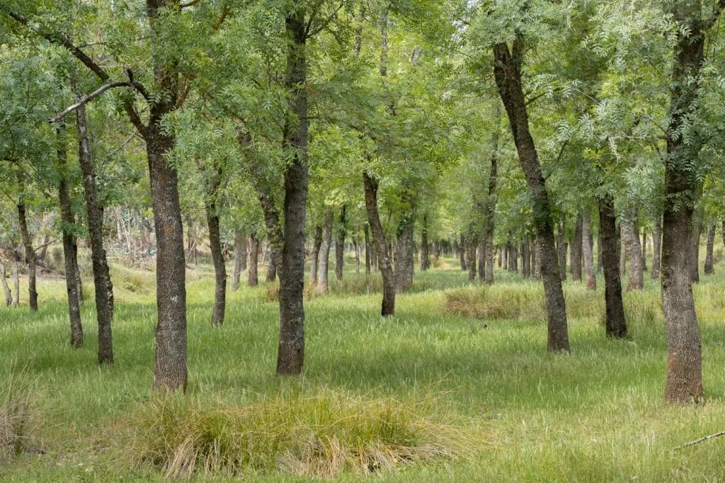 parque biologico cabeca gorda