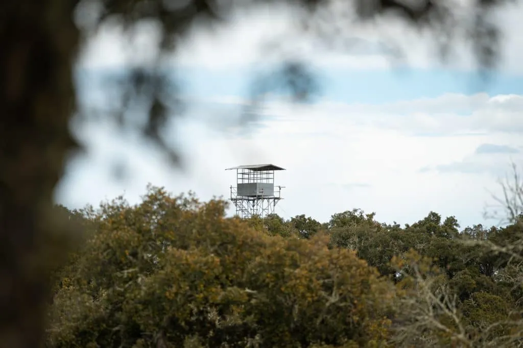 vantage point alentejo cabeca gorda