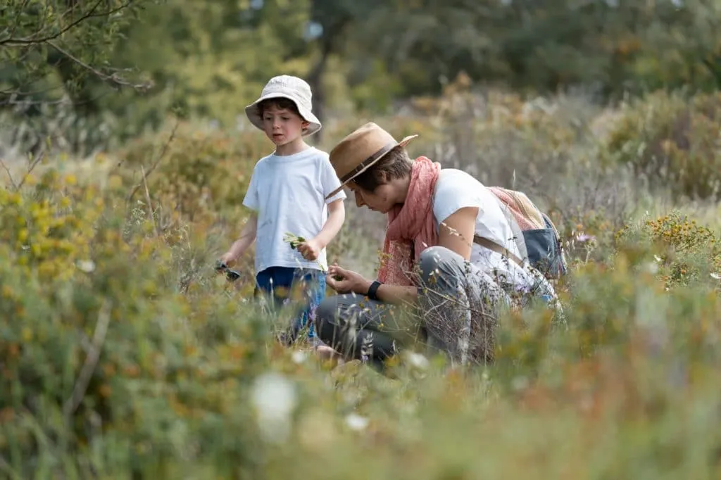 mother and son picking mushrooms